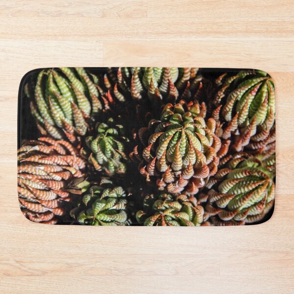 Item preview, Sempervivum Succulents designed and sold by heatherfriedman.