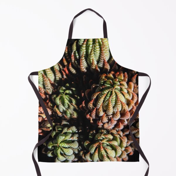 Aperçu de l'œuvre Sempervivum Succulentes créée et vendue par heatherfriedman.