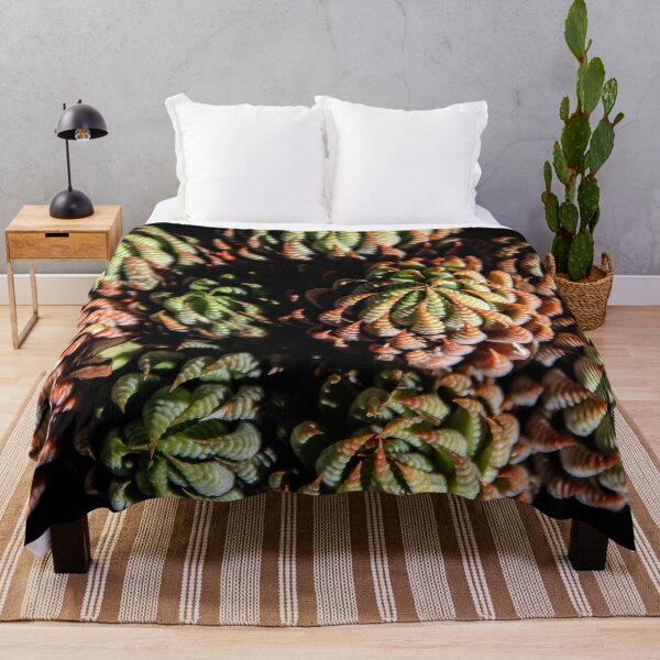 Aperçu de l'œuvre Sempervivum Succulentes créée et vendue par heatherfriedman.