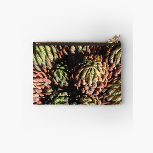 Item preview, Sempervivum Succulents designed and sold by heatherfriedman.