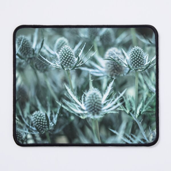 Item preview, Thistles Soft Focus designed and sold by JMBennettPhotos.
