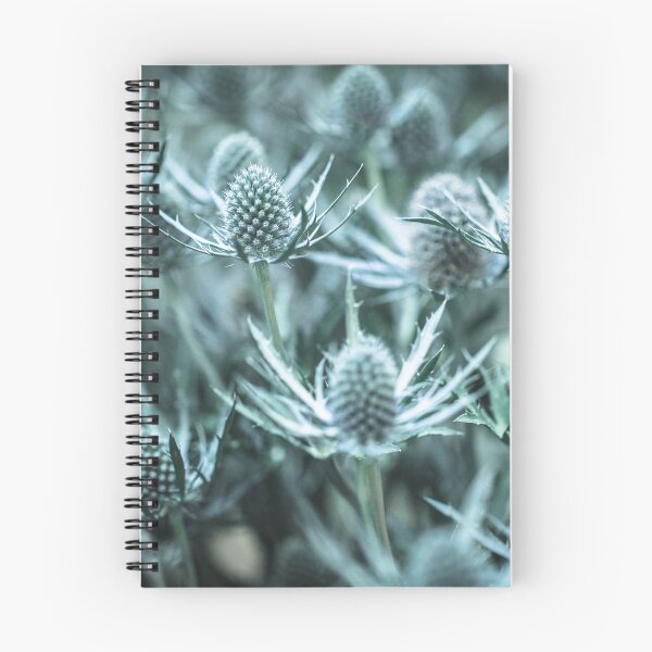 Item preview, Thistles Soft Focus designed and sold by JMBennettPhotos.
