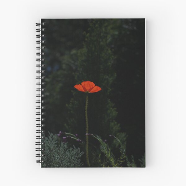 Item preview, Solitude & Strength A Tall Single Orange Poppy designed and sold by JMBennettPhotos.