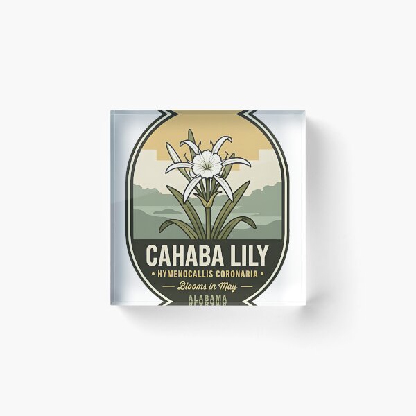 Item preview, Cahaba Lily Botanical Alabama Refuge Sticker designed and sold by DetourDgn.
