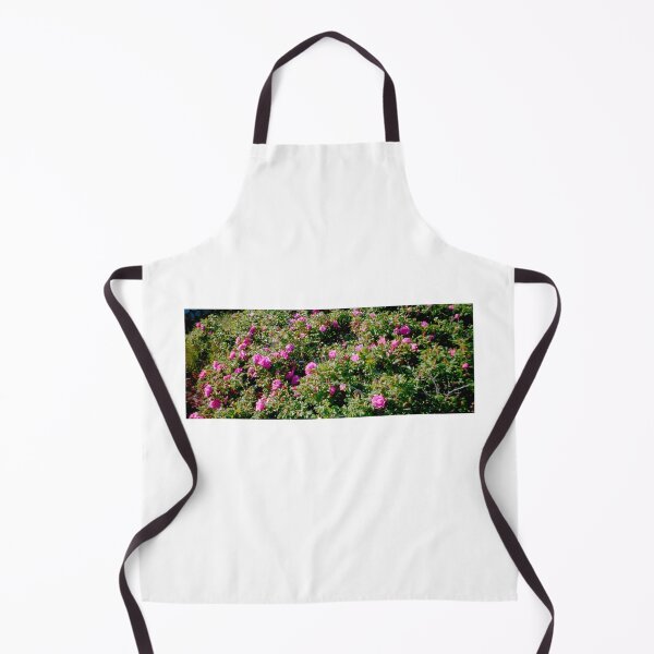 Item preview, Rugosa Roses, Watch Hill, RI designed and sold by Duane Gamble (Creative Photo Products).