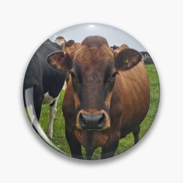Item preview, It's Moo to You designed and sold by Kat Simmons.