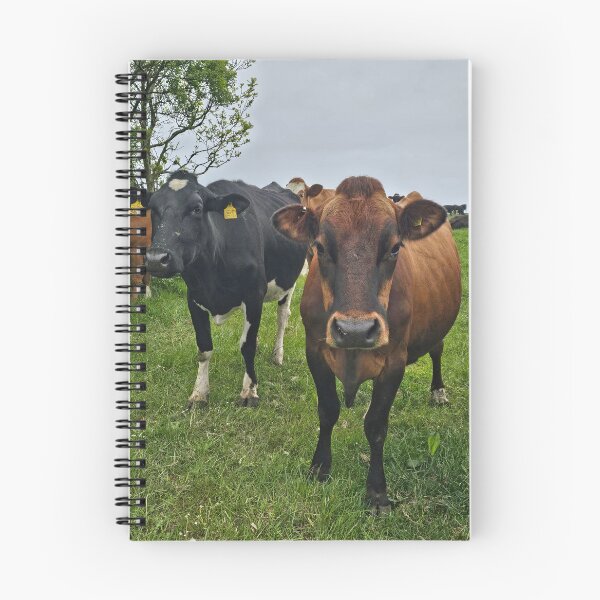 Item preview, It's Moo to You designed and sold by Kat Simmons.