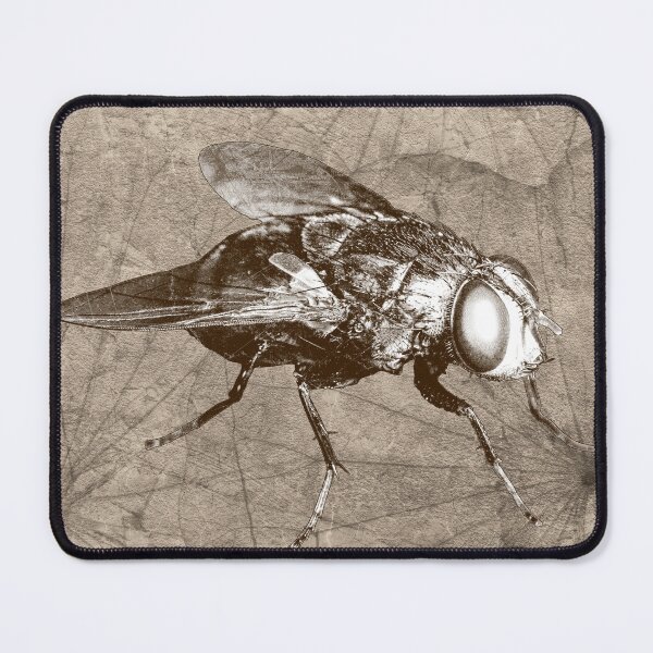 Item preview, Brown Bottle Fly Dark Macro Entomology Specimen designed and sold by Ghoul Enterprises.