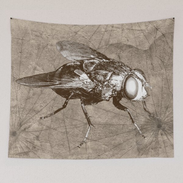 Item preview, Brown Bottle Fly Dark Macro Entomology Specimen designed and sold by Ghoul Enterprises.