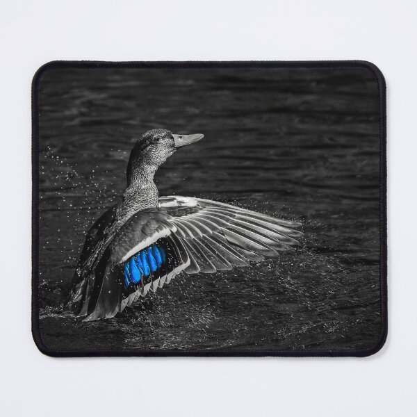 Item preview, Mallard designed and sold by Jay Payne.