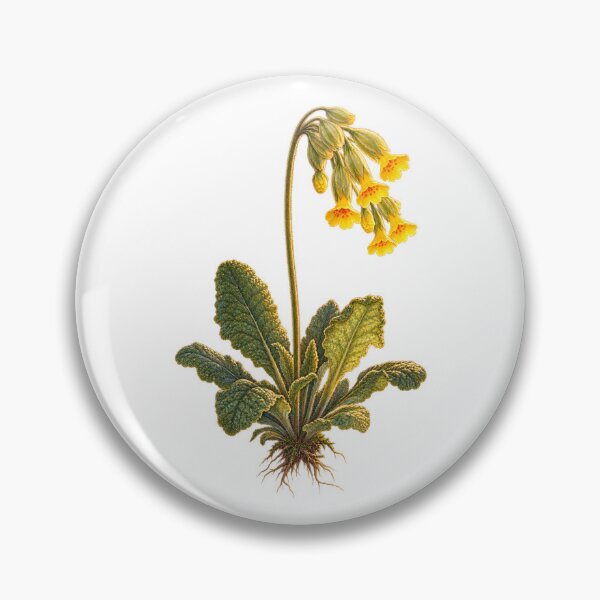 Item preview, Cowslip | Vintage Spring Wildflower Botanical Art | Cottagecore Gift designed and sold by Brackenlume Studio.
