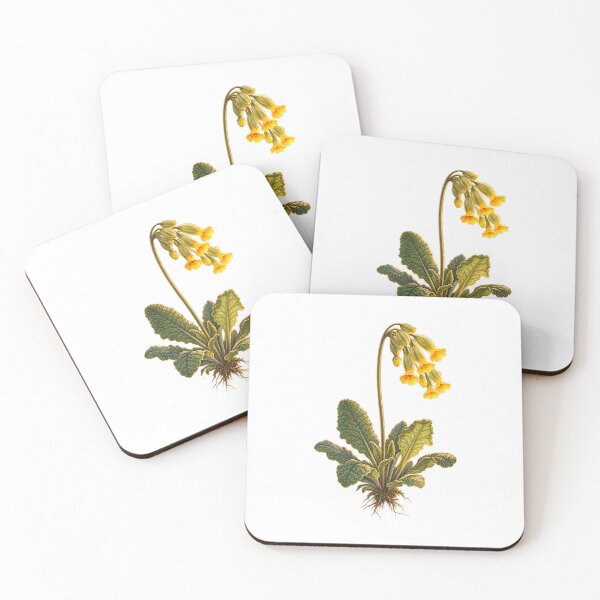 Item preview, Cowslip | Vintage Spring Wildflower Botanical Art | Cottagecore Gift designed and sold by Brackenlume Studio.