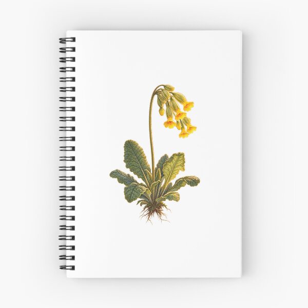 Item preview, Cowslip | Vintage Spring Wildflower Botanical Art | Cottagecore Gift designed and sold by Brackenlume Studio.