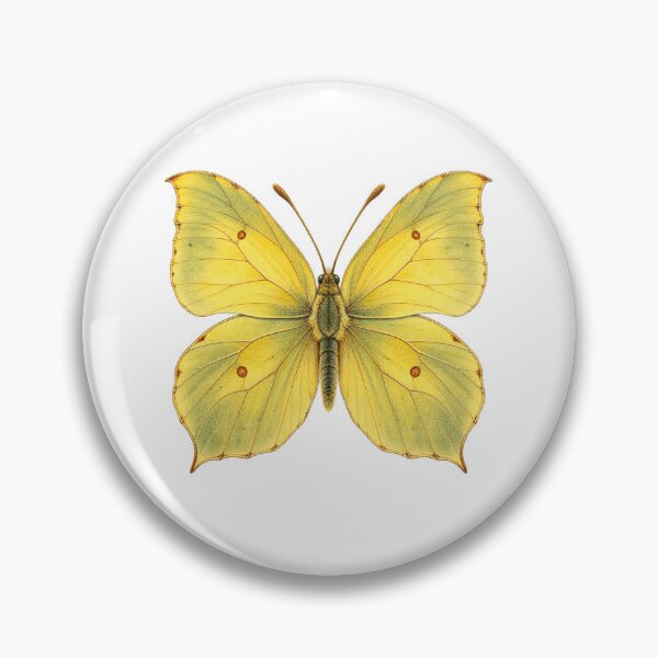 Item preview, Brimstone Butterfly | Vintage Entomology Specimen Art | Collector Gift designed and sold by Brackenlume Studio.