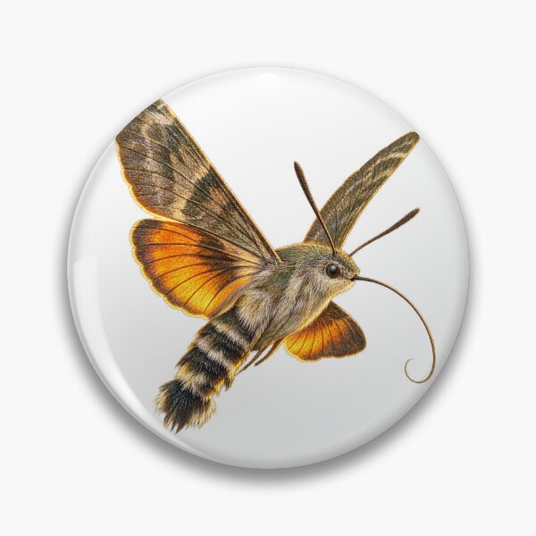 Item preview, Hummingbird Hawk-Moth | Vintage Entomology Specimen Art | Collector Gift designed and sold by Brackenlume Studio.