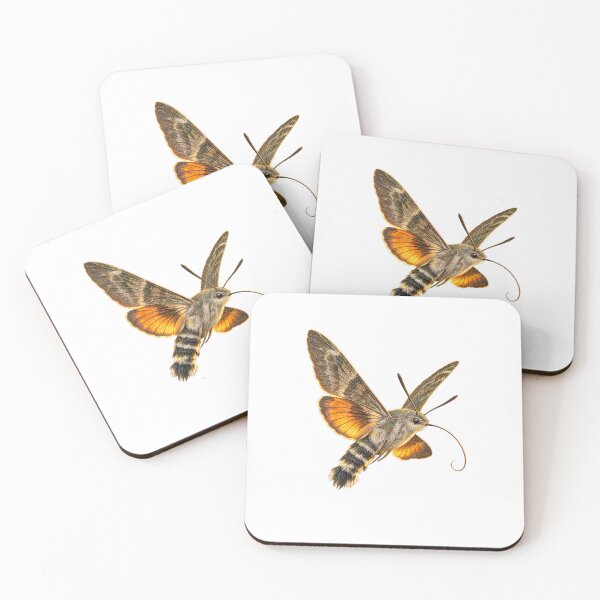 Item preview, Hummingbird Hawk-Moth | Vintage Entomology Specimen Art | Collector Gift designed and sold by Brackenlume Studio.