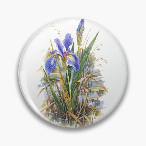 Artikelvorschau, Blaue Schwertlilie | Kunst einheimischer Sumpfblumen entworfen und verkauft von SusanSweetArt.