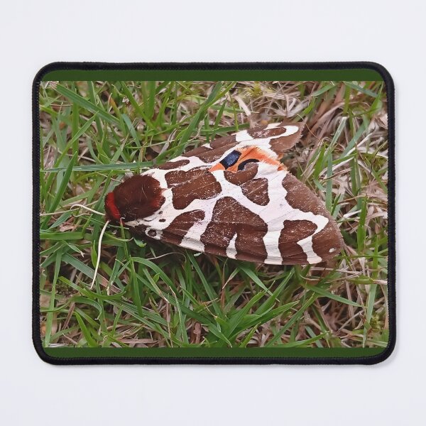 Item preview, Beautiful Camouflaged Moth – Nature’s Masterpiece designed and sold by Gabissq.