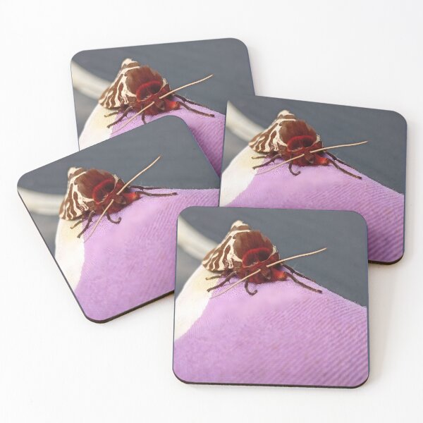 Item preview, Beautiful Camouflaged Moth – Nature’s Masterpiece designed and sold by Gabissq.