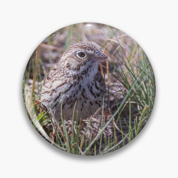 Item preview, Vesper Sparrow Theodore Roosevelt NP designed and sold by PhotoArt by Joan Carroll.