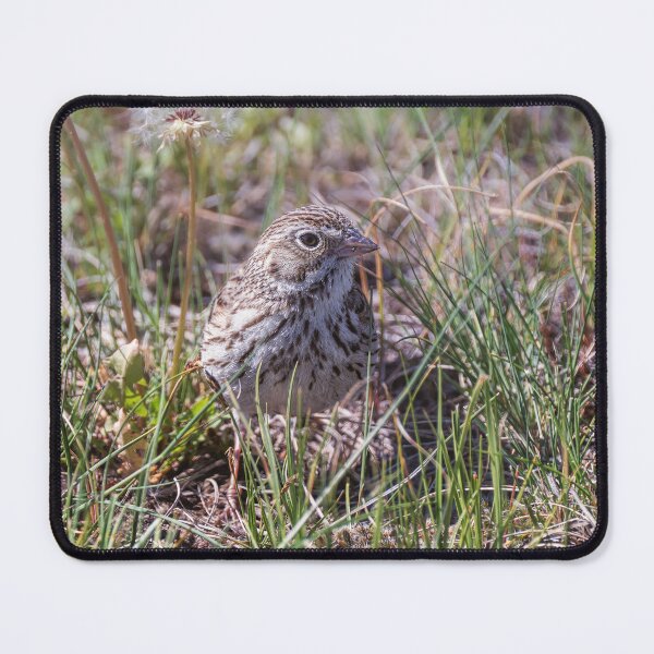 Item preview, Vesper Sparrow Theodore Roosevelt NP designed and sold by PhotoArt by Joan Carroll.
