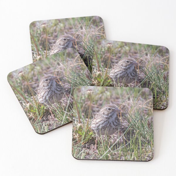 Item preview, Vesper Sparrow Theodore Roosevelt NP designed and sold by PhotoArt by Joan Carroll.