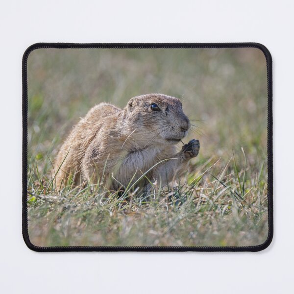 Item preview, Prairie Dog Theodore Roosevelt National Park North Dakota designed and sold by PhotoArt by Joan Carroll.