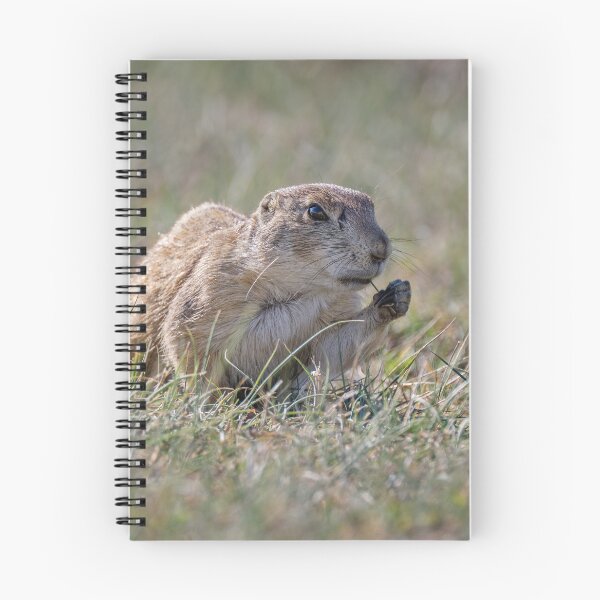 Item preview, Prairie Dog Theodore Roosevelt National Park North Dakota designed and sold by PhotoArt by Joan Carroll.