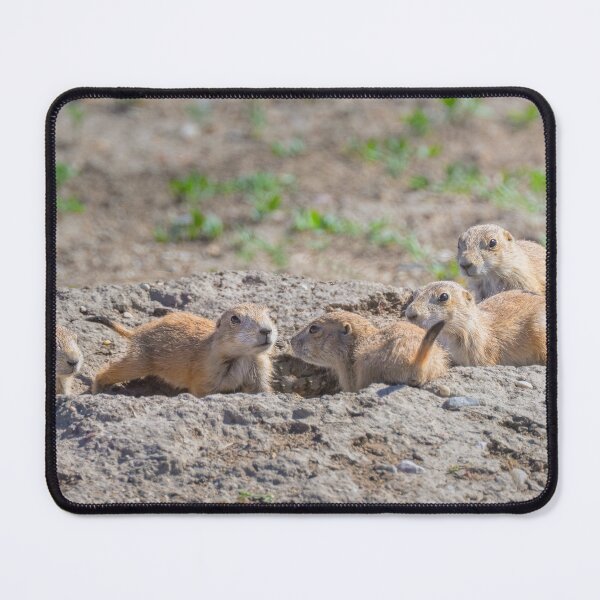 Item preview, Prairie Dog Pups Custer State Park SD designed and sold by PhotoArt by Joan Carroll.
