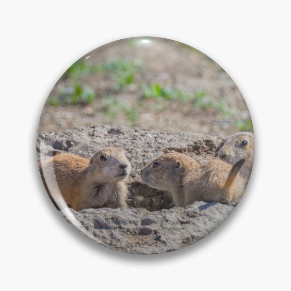 Item preview, Prairie Dog Pups Custer State Park SD designed and sold by PhotoArt by Joan Carroll.