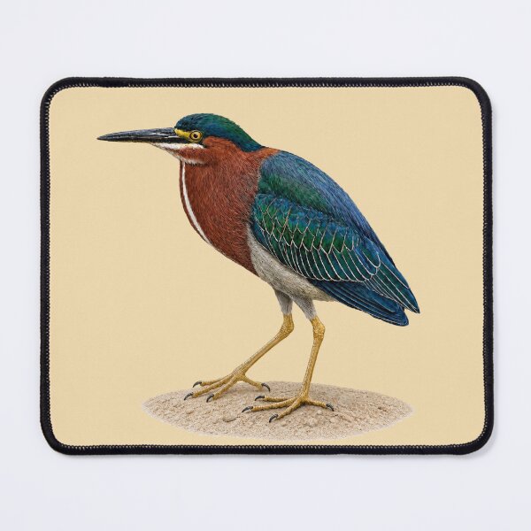 Item preview, Green Heron designed and sold by cbfineart.