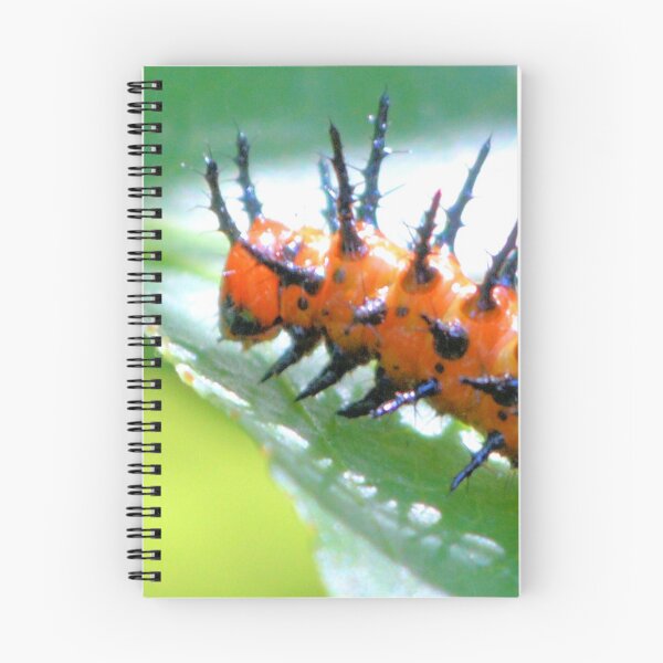 Item preview, Gulf Fritillary Caterpillar  designed and sold by What I See by Dawne.