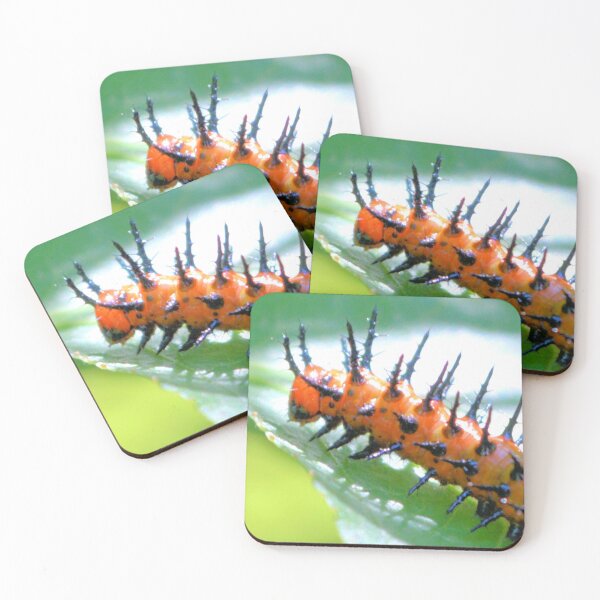 Item preview, Gulf Fritillary Caterpillar  designed and sold by What I See by Dawne.