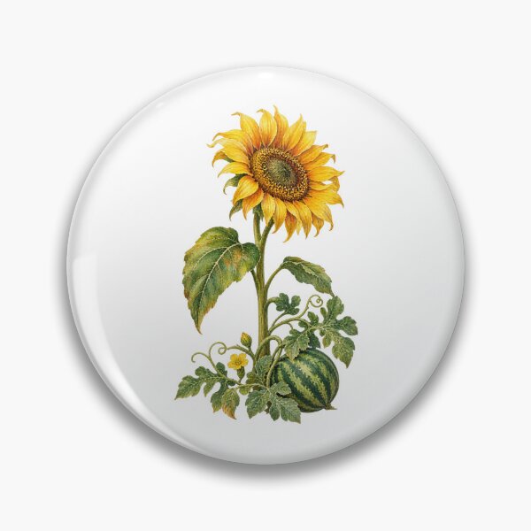 Item preview, Dolj Sunflower and Watermelon Botanical Art designed and sold by FurusatoGallery.