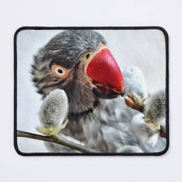 Item preview, Arizona designed and sold by Krameri Creations.