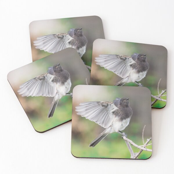 Item preview, Black Phoebe Looking Pretty designed and sold by CarolM.