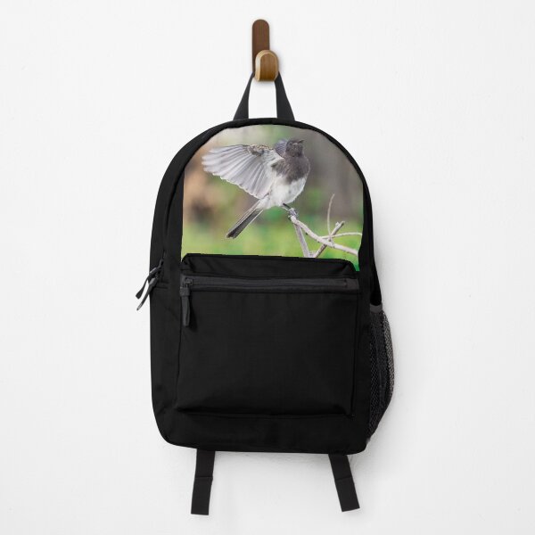 Item preview, Black Phoebe Looking Pretty designed and sold by CarolM.