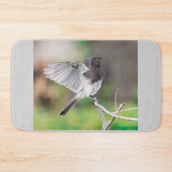 Item preview, Black Phoebe Looking Pretty designed and sold by CarolM.