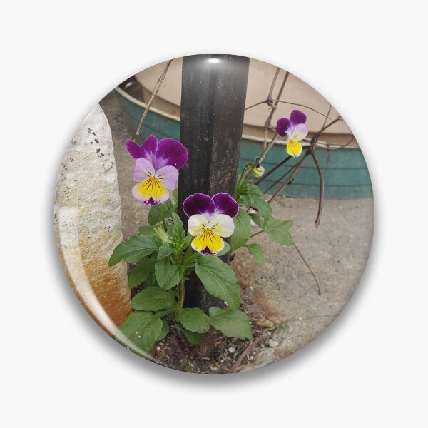 Item preview, Pavementplant Pansies designed and sold by concretebotany.