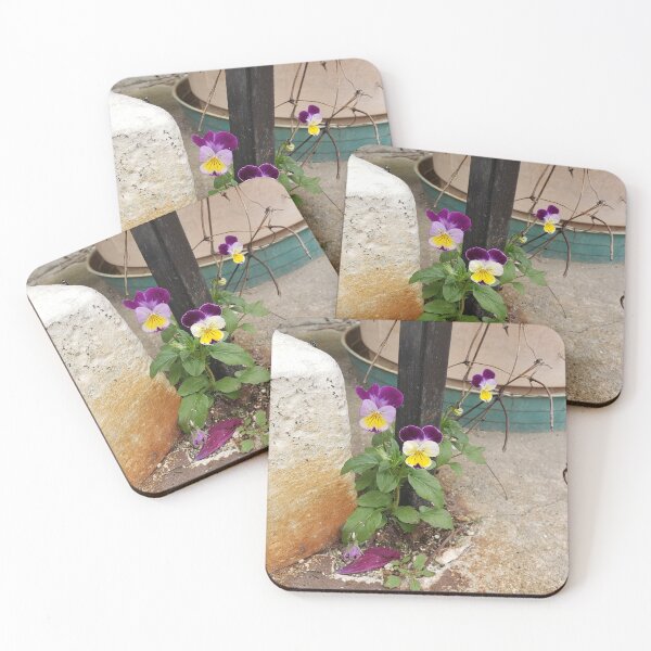 Item preview, Pavementplant Pansies designed and sold by concretebotany.
