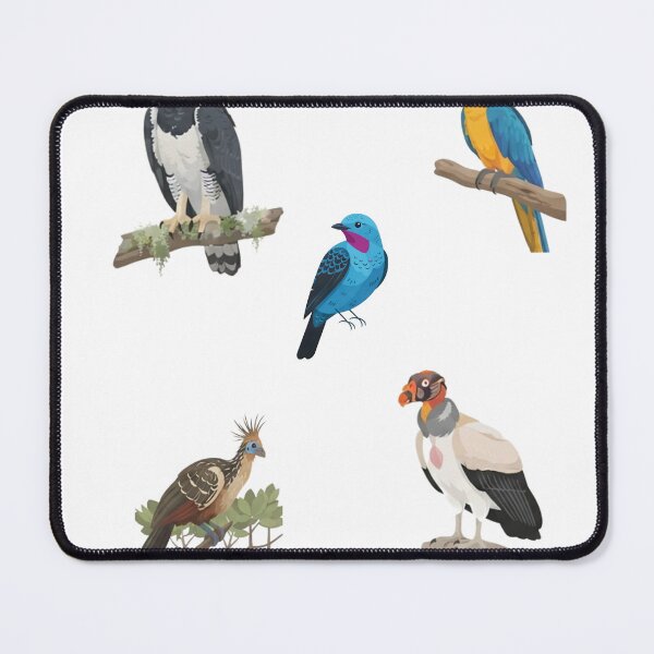 Item preview, Amazon Birds designed and sold by Bird Nerd Co..