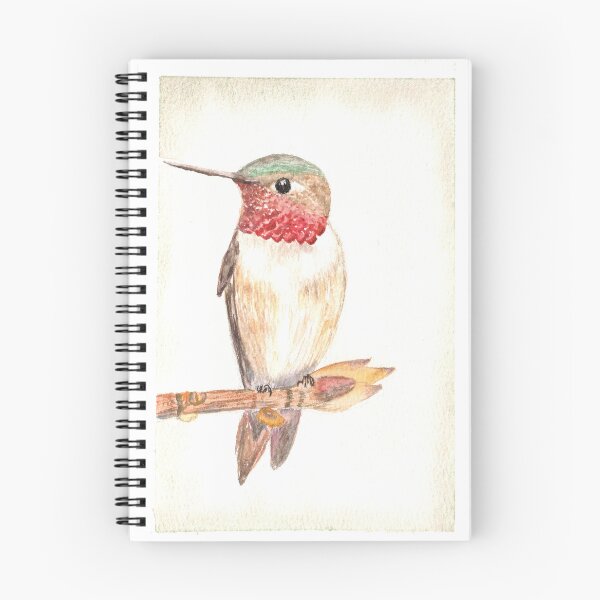Item preview, Colibrí rojizo vigilando su territorio. designed and sold by By Keka.