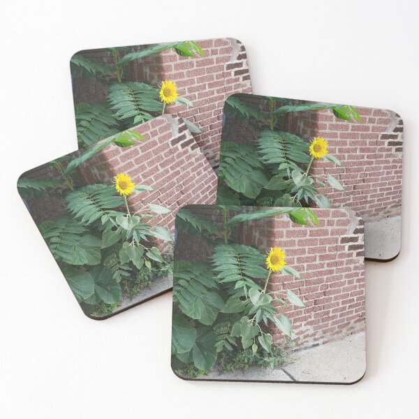 Item preview, Sidewalk Sunflower in East Passyunk Crossing designed and sold by concretebotany.