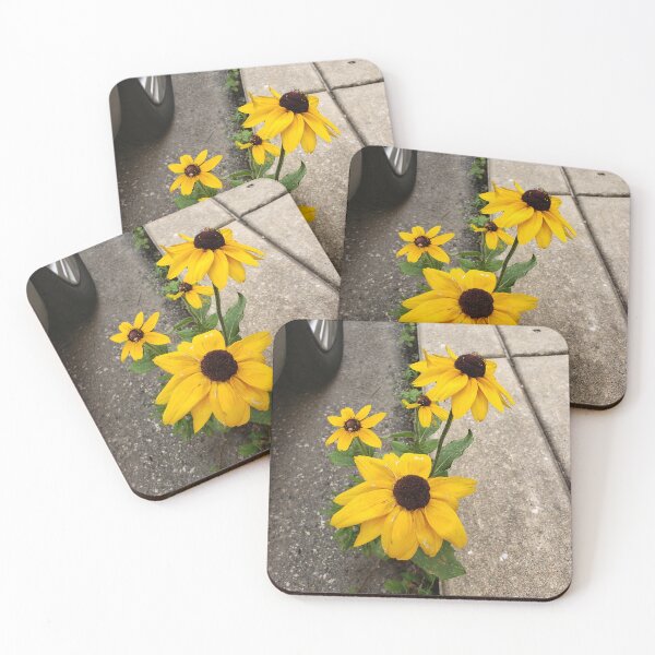 Item preview, Flores de ojo negro en flor en una cuneta. designed and sold by concretebotany.