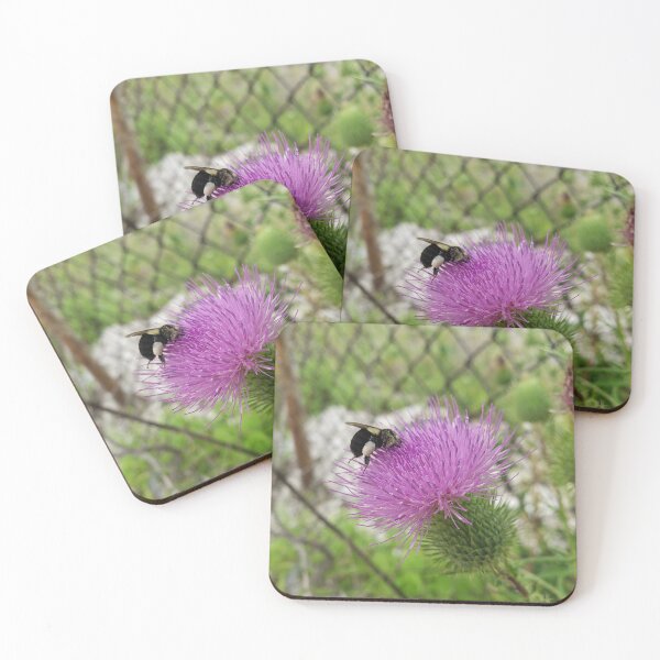 Item preview, Bumblebee and Bull Thistle  designed and sold by concretebotany.