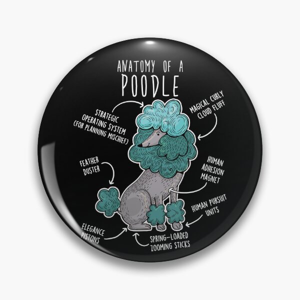 Item preview, Poodle Dog Anatomy designed and sold by Clara Hollins.