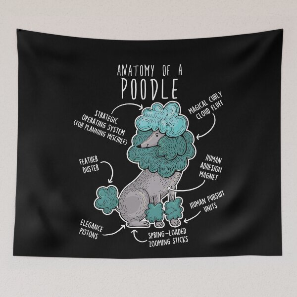 Item preview, Poodle Dog Anatomy designed and sold by Clara Hollins.