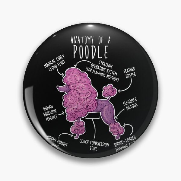 Item preview, Poodle Dog Anatomy designed and sold by Clara Hollins.