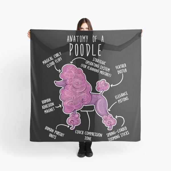 Item preview, Poodle Dog Anatomy designed and sold by Clara Hollins.