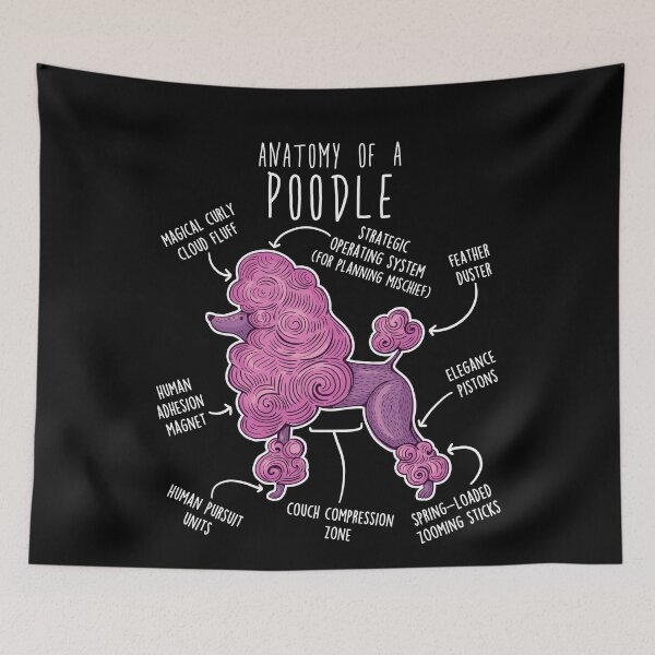 Item preview, Poodle Dog Anatomy designed and sold by Clara Hollins.